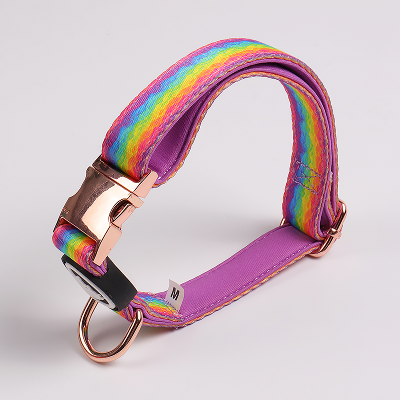 Ensemble harnais pour chien OKEYPETS imprimé arc-en-ciel avec collier et laisse. Harnais pour chiot. 11