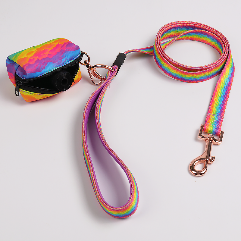 Ensemble harnais pour chien OKEYPETS imprimé arc-en-ciel avec collier et laisse. Harnais pour chiot. 12