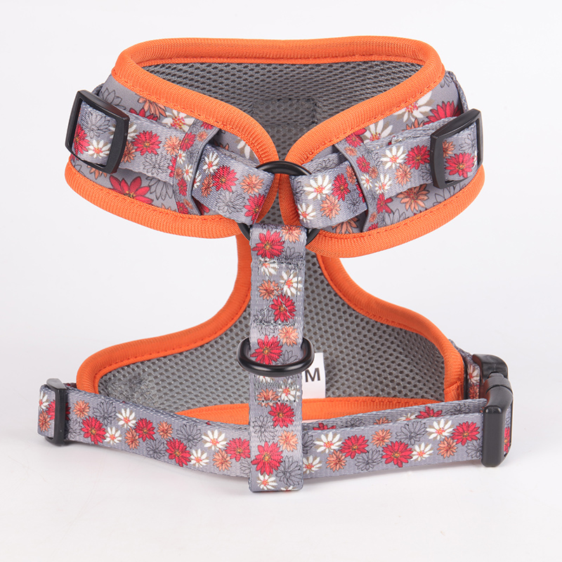 Fabricants de mousquetons et clips robustes personnalisés pour laisses de chiens OKEYPETS 16