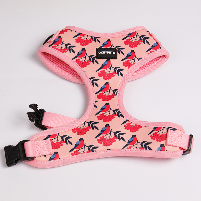 OKEYPETS Neoprene Padded Dog Harness Set Mesh Pet Vest Wholesale Dog Harness Factory 9