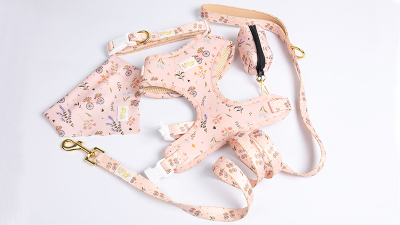 OKEYPETS legjobb kutyanyakörv póráz kisállat háromszög aranyos személyre szabott kutyahám szett1 6