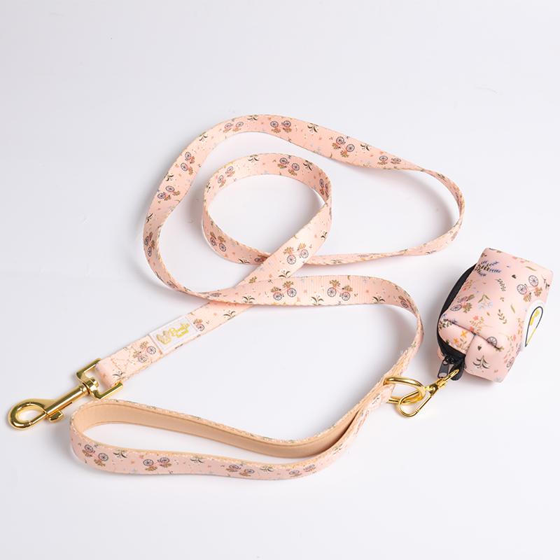 OKEYPETS legjobb kutyanyakörv póráz kisállat háromszög aranyos személyre szabott kutyahám szett1 9