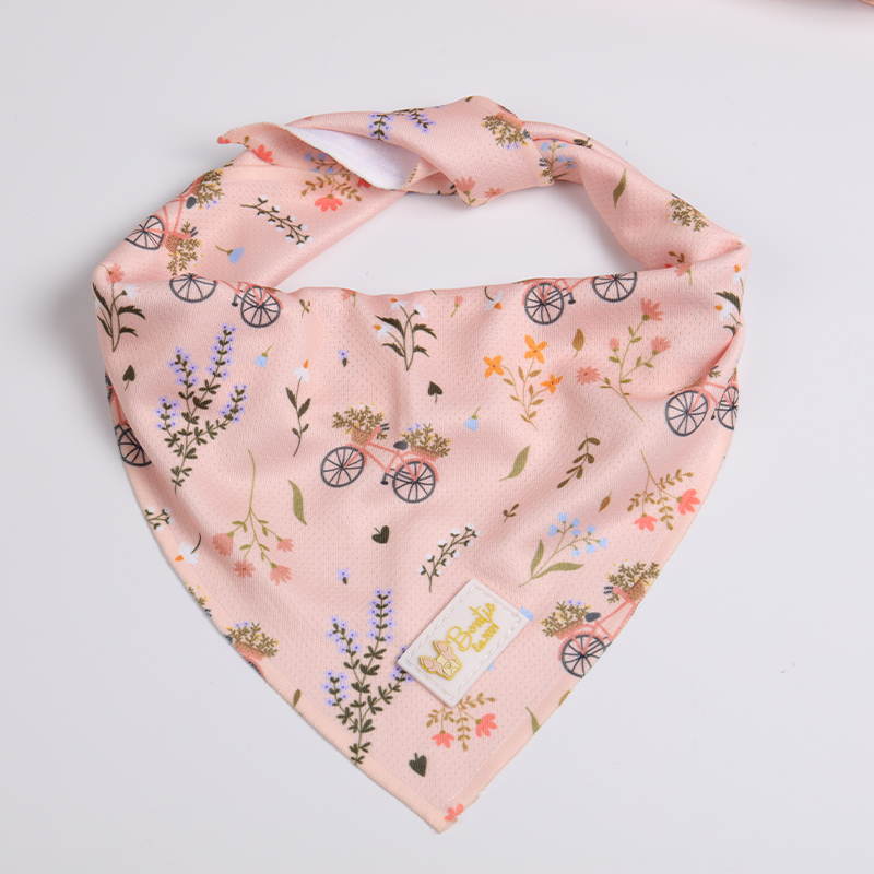 OKEYPETS legjobb kutyanyakörv póráz kisállat háromszög aranyos személyre szabott kutyahám szett1 8