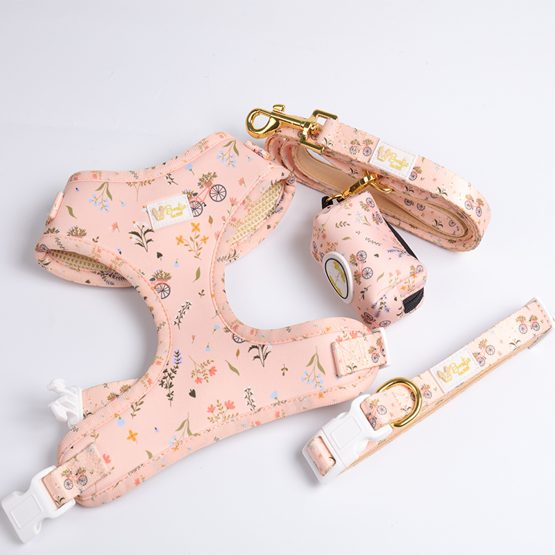 OKEYPETS legjobb kutyanyakörv póráz kisállat háromszög aranyos személyre szabott kutyahám szett1 11