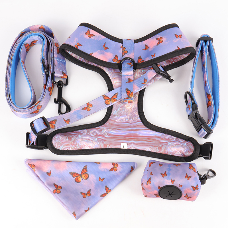 Fournisseur de harnais pour chien Step In - Gilet réversible pour chiot, idéal pour la marche et la course 20