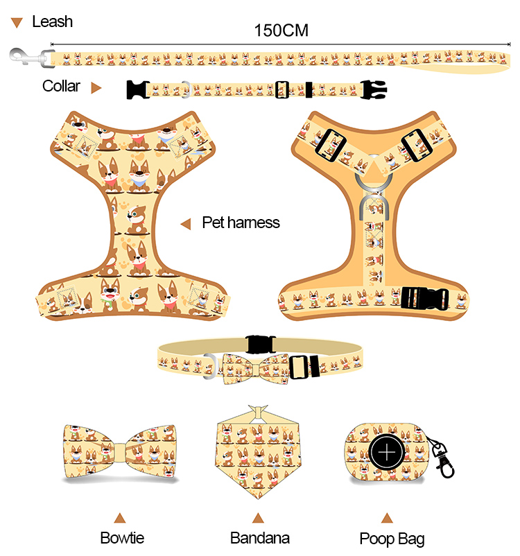 Ensemble de harnais pour chien personnalisé imprimé, six pièces, accessoires pour animaux de compagnie 10
