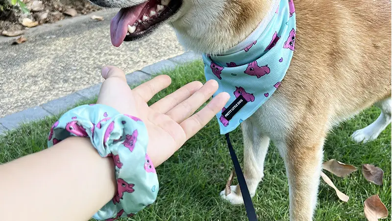 OKEYPETS Vlastné personalizované gumičky do vlasov s potlačou loga, hodvábny saténový doplnok do vlasov, gumičky do vlasov vhodných pre psov 1