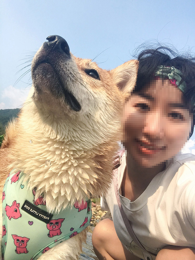 OKEYPETS Vlastné personalizované gumičky do vlasov s potlačou loga, hodvábny saténový doplnok do vlasov, gumičky do vlasov vhodných pre psov 13