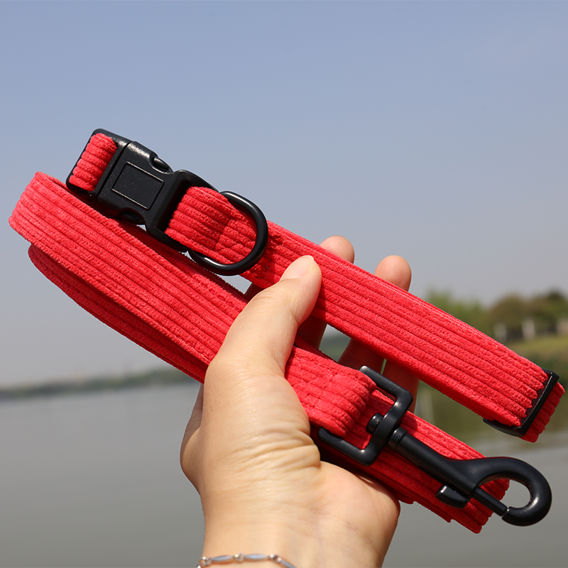 OKEYPETS-Puha, kordbársony szövetből készült, hálós, párnázott, állítható bársonyos kordbársony nyakörv, pórázkészlet, kordbársony kutyahám-készlet 8