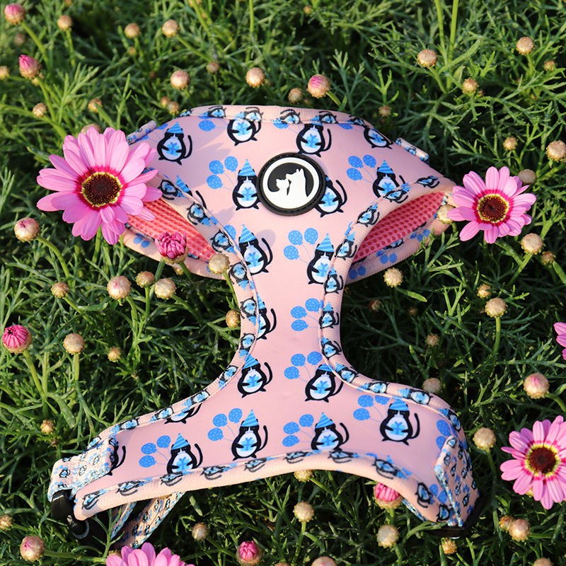 OKEYPETS Pettorina per cani in neoprene con stampa a sublimazione personalizzata in poliestere con marchio etichetta in PVC 7