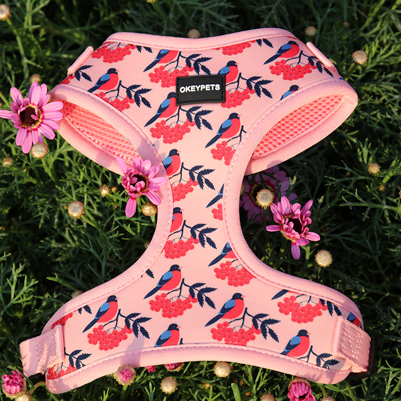 OKEYPETS Pettorina per cani in neoprene con stampa a sublimazione personalizzata in poliestere con marchio etichetta in PVC 11