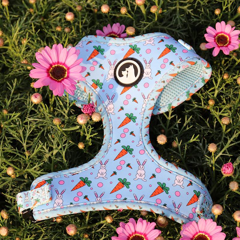 OKEYPETS Pettorina per cani in neoprene con stampa a sublimazione personalizzata in poliestere con marchio etichetta in PVC 9