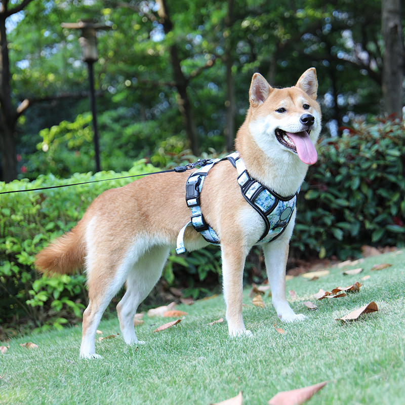 Harnais réfléchissant pour chien OKEYPETS en gros, idéal pour les promenades et l'entraînement. Harnais imprimé pour l'éducation canine. 6