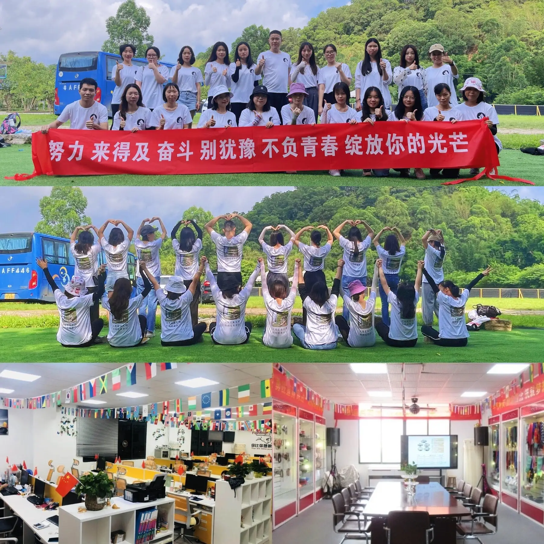 Diancheistiú i ndán don Údarás, image size:1800x1800