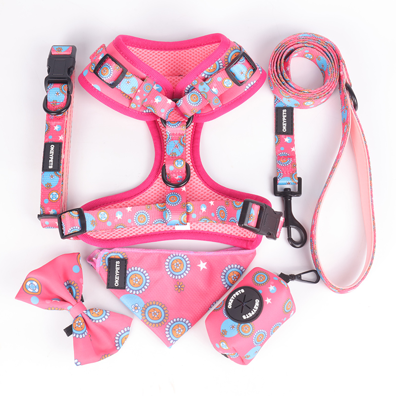 OKEYPETS Fabricants de colliers pour chiens en gros, motif par sublimation, collier et laisse robustes 21
