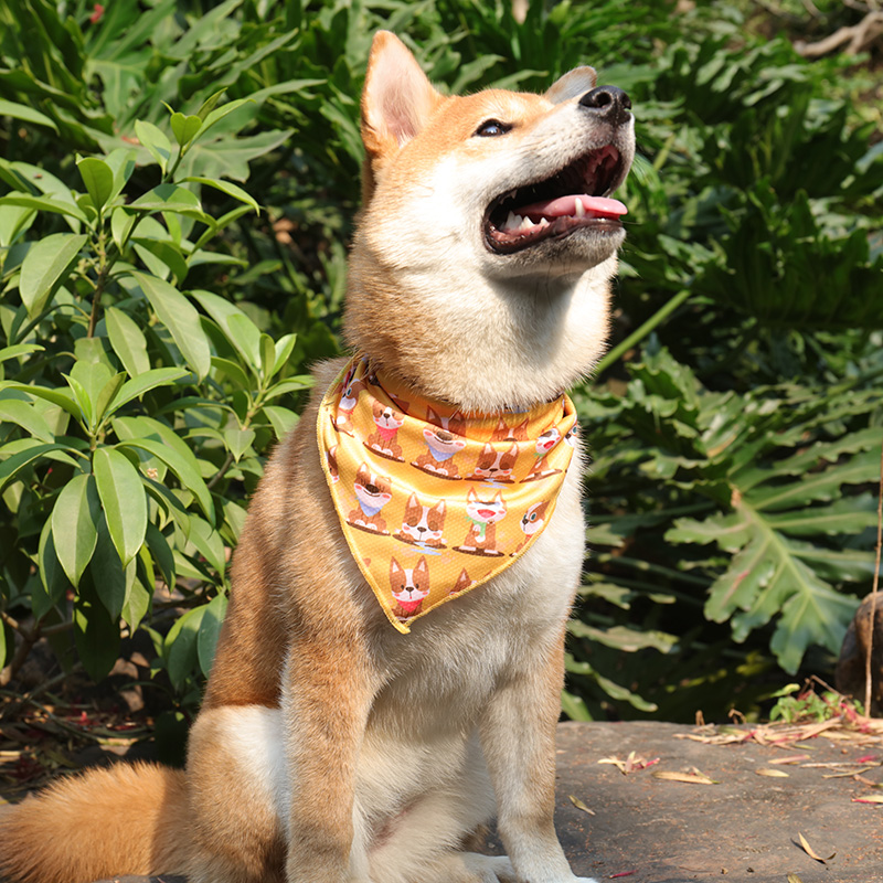 OKEYPETS Écharpe triangulaire ajustable et respirante en polyester pour animaux de compagnie avec de jolis motifs - Bandana pour animaux de compagnie 13