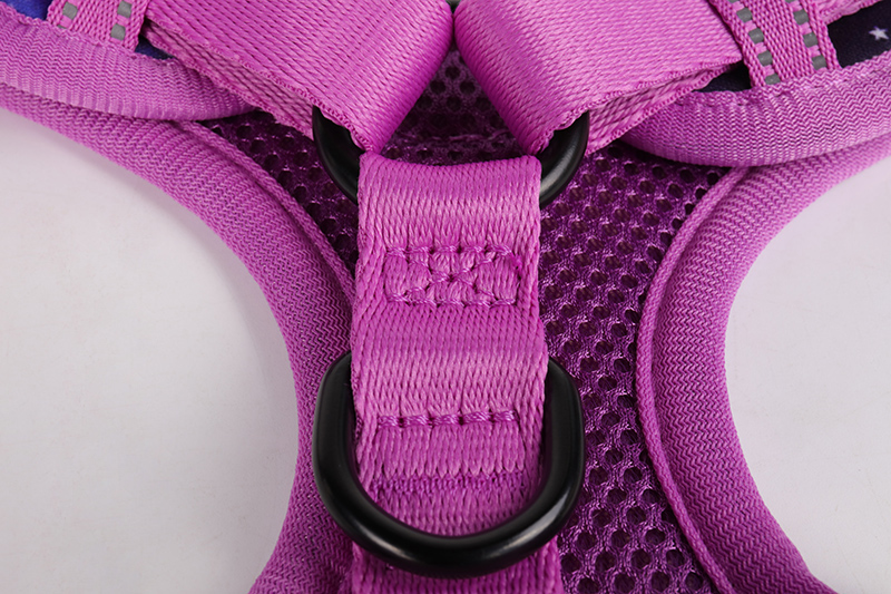 Conjunto de coleira peitoral OKEYPETS de neoprene de alta qualidade para cães, macia, com logotipo personalizado e sublimação em cores sólidas para cães de pequeno porte. 6