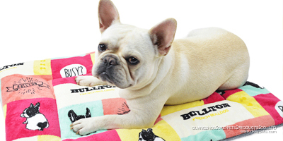 Lit lavable pour chien, doux et moelleux, matelas de couchage pour chiens de grande, moyenne et petite taille 7