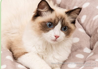 Lits pour chats en gros pour chats d'intérieur, coussins doux et chauds en peluche, fond imperméable et moelleux 8