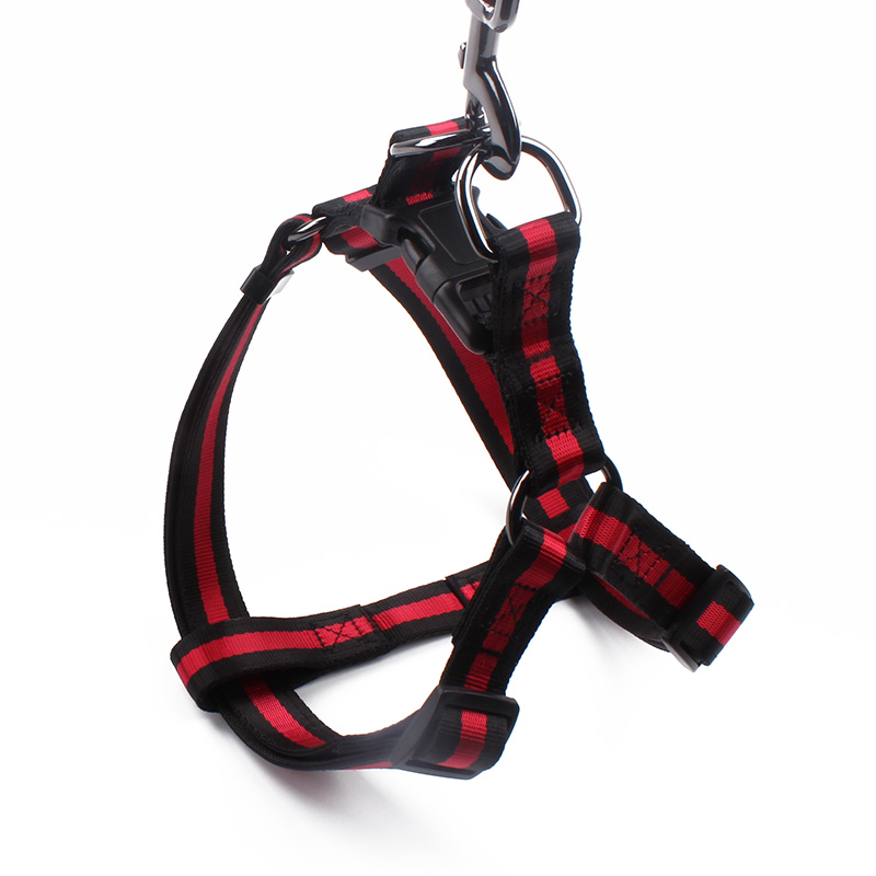 Fournisseur de harnais pour chiots : Harnais de course rouge à sangle réglable pour chiens 16