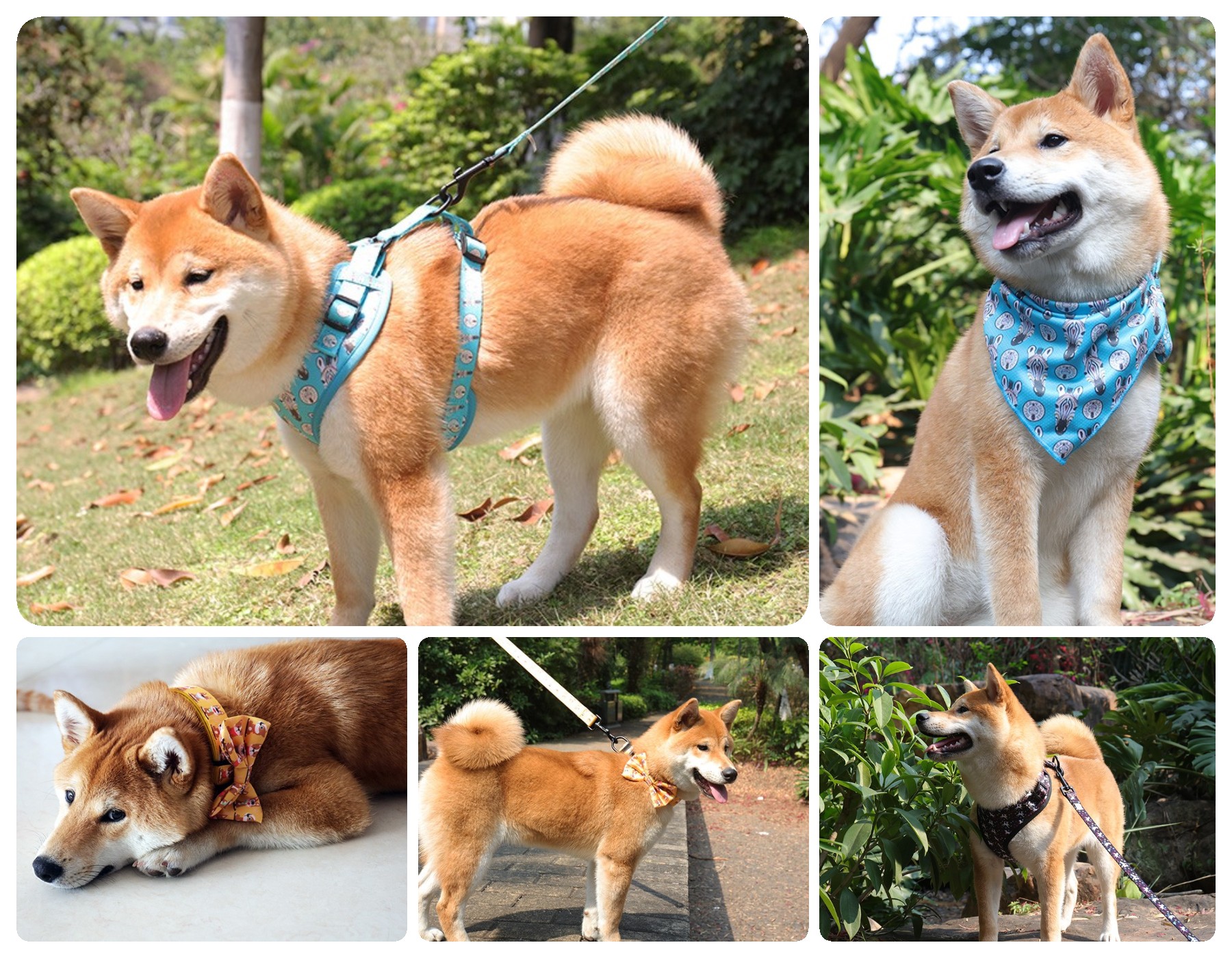 OKEYPETS Sac à déjections canines portable et mignon personnalisé 18