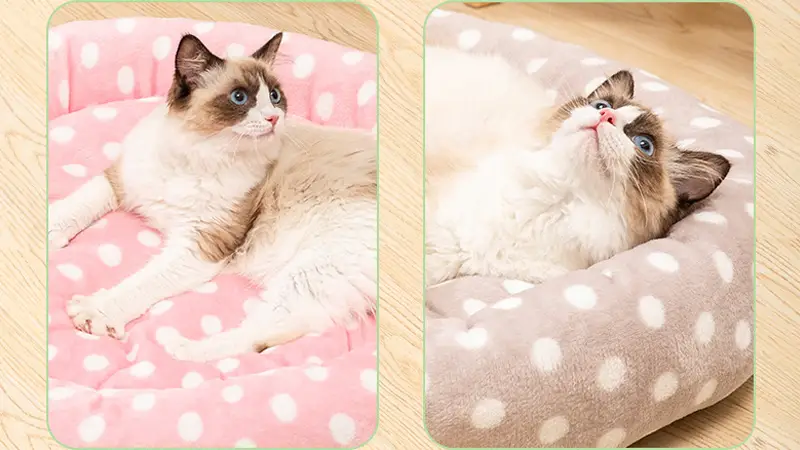 Lits pour chats en gros pour chats d'intérieur, coussins doux et chauds en peluche, fond imperméable et moelleux 1