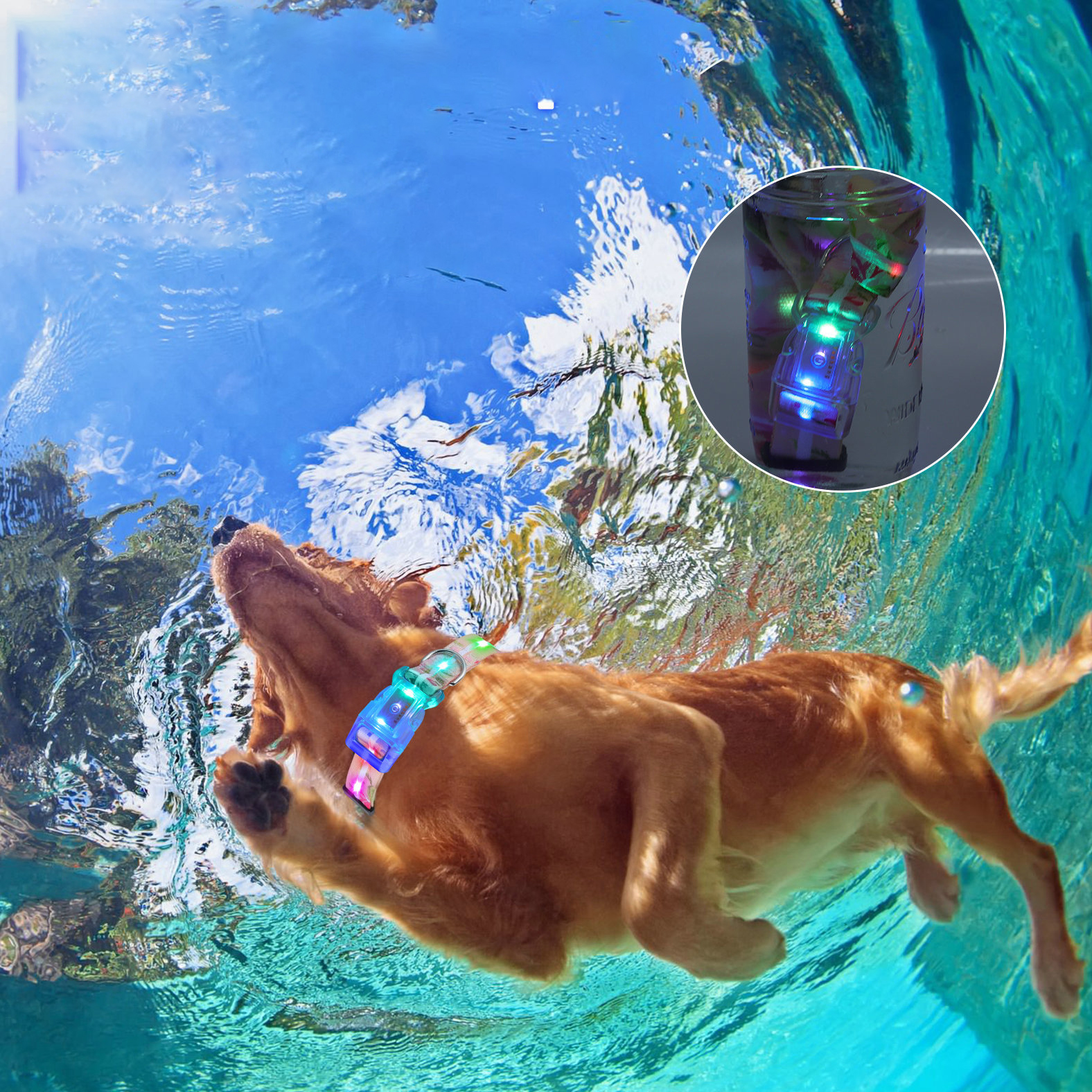 Collier lumineux LED OKEYPETS pour chiens de taille moyenne et grande, compatible USB 9