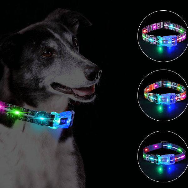 Collier lumineux LED OKEYPETS pour chiens de taille moyenne et grande, compatible USB 8