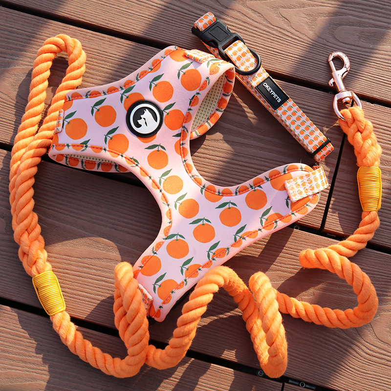 OKEYPETS Laisse pour chien en corde de coton faite main, rose ombré multicolore, idéale pour un mariage avec une fille. 31