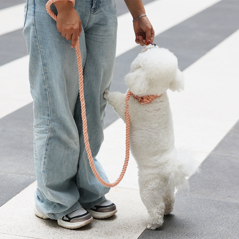 OKEYPETS Laisse pour chien en corde de coton faite main, rose ombré multicolore, idéale pour un mariage avec une fille. 34