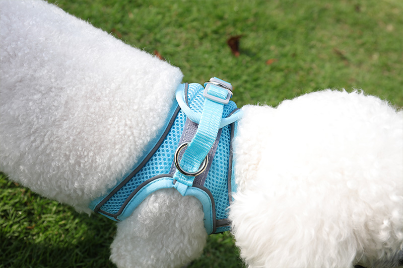 Laisses en nylon pour animaux de compagnie en gros, harnais anti-traction en maille réfléchissante, harnais pour chien en maille réfléchissante, livraison en gros. 20