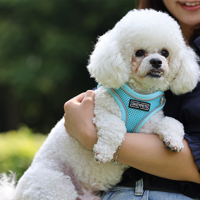 Laisses en nylon pour animaux de compagnie en gros, harnais anti-traction en maille réfléchissante, harnais pour chien en maille réfléchissante, livraison en gros. 21
