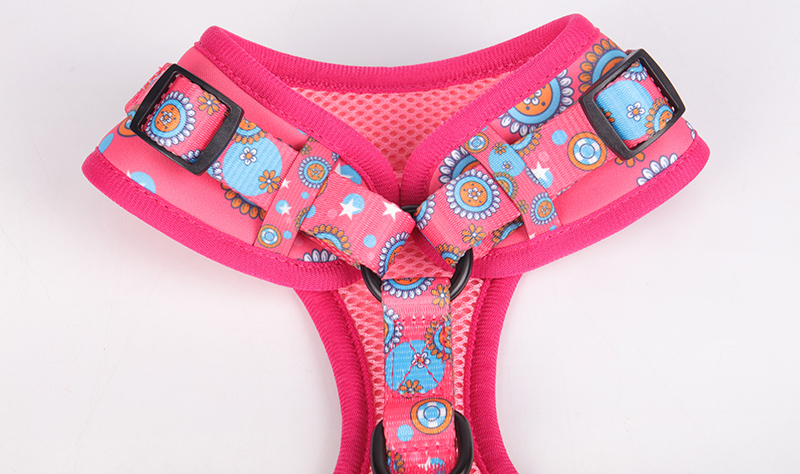 OKEYPETS Hundeseleproducenter Ingen træk Blød Brugerdefineret Logo Ensfarvet Sublimering Hundesele Og Sele Sæt 7