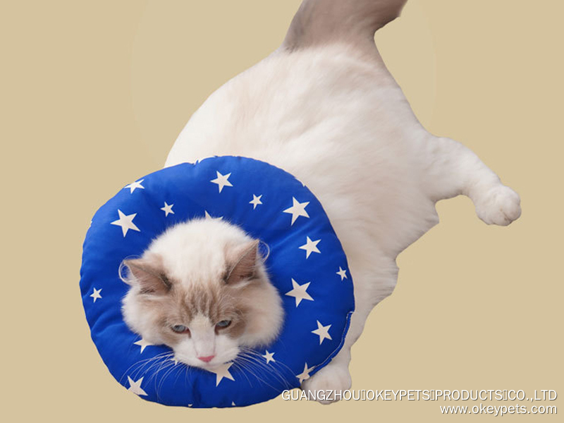 Cône souple Elizabeth Circle pour chat, ajustable et personnalisé, pour la convalescence des chats 8