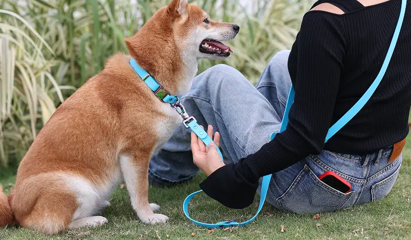 Laisse mains libres OKEYPETS pour chien, personnalisée, en caoutchouc recouvert de silicone et PVC étanche, avec double mousqueton. 1