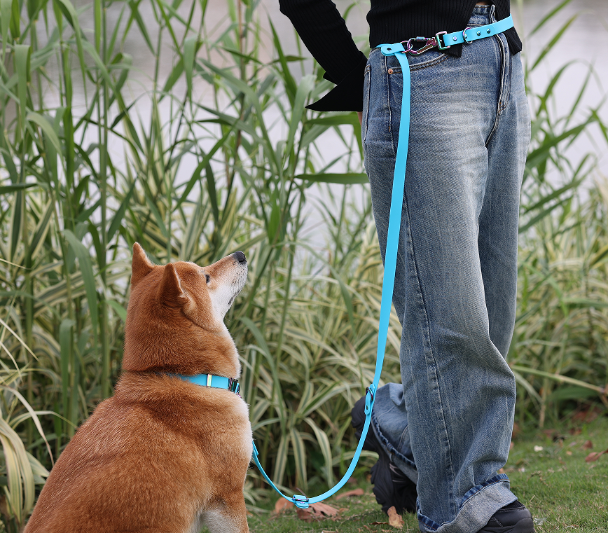 Laisse mains libres OKEYPETS pour chien, personnalisée, en caoutchouc recouvert de silicone et PVC étanche, avec double mousqueton. 10