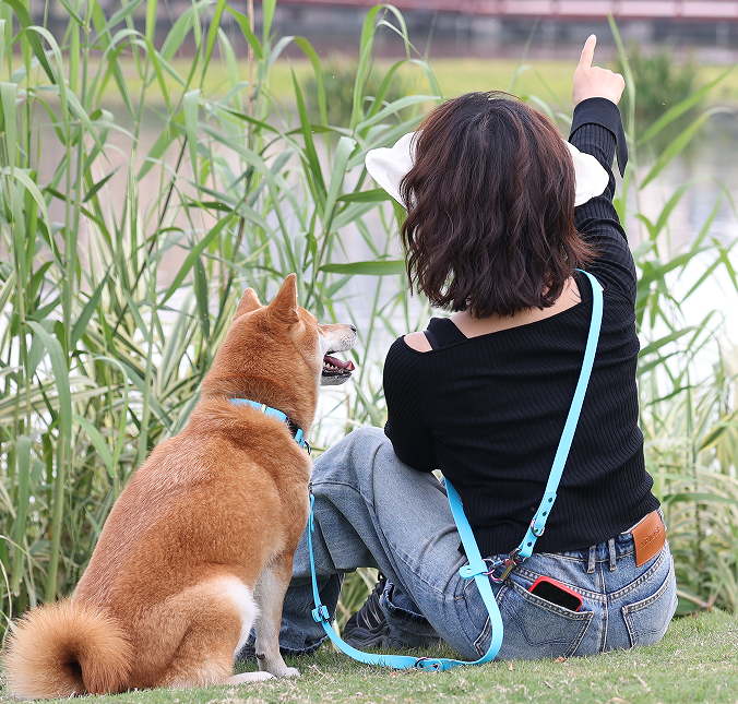 Laisse mains libres OKEYPETS pour chien, personnalisée, en caoutchouc recouvert de silicone et PVC étanche, avec double mousqueton. 9