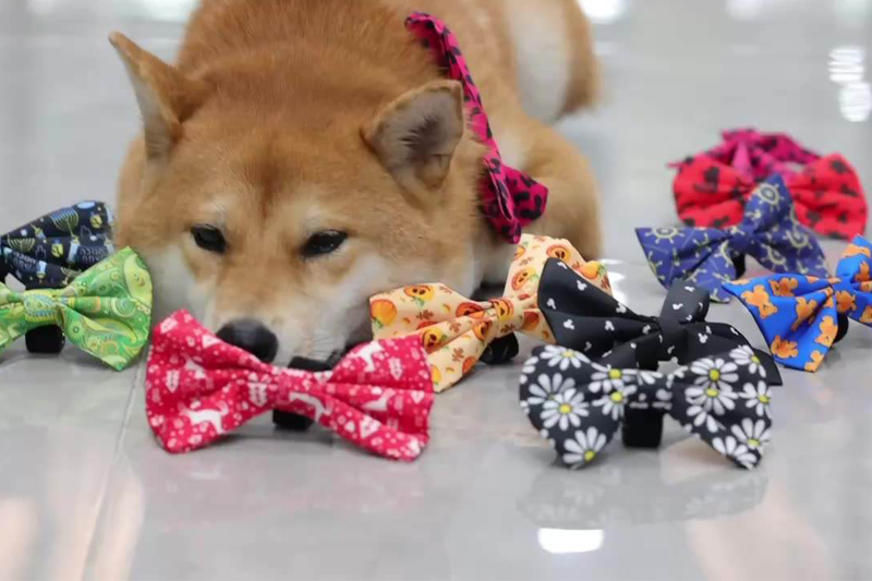 OKEYPETS Nœud papillon mignon pour animaux de compagnie, collier tendance, portable, impression personnalisée, écologique, vierge, sublimation, nœud papillon pour chien 13