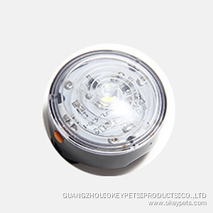 Lampe torche LED étanche sept couleurs pour collier de chien 10