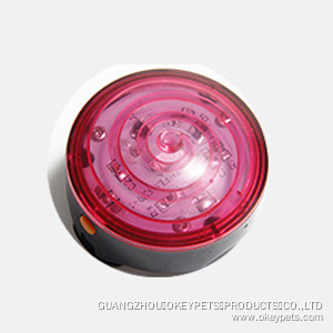 Lampe torche LED étanche sept couleurs pour collier de chien 11