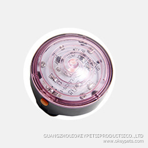 Lampe torche LED étanche sept couleurs pour collier de chien 7