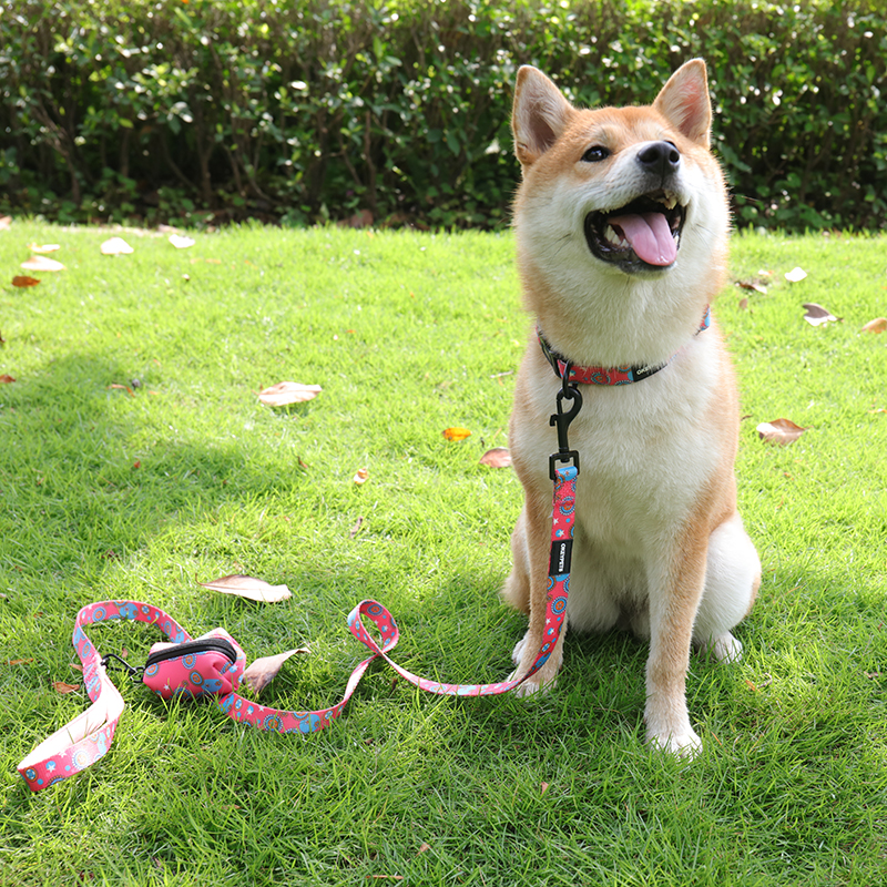 Anyaman Larian Pelbagai Fungsi Tali Haiwan Peliharaan Sublimasi Poliester Neoprena Tali Berlapis Dua Tali Haiwan Peliharaan Anjing 8