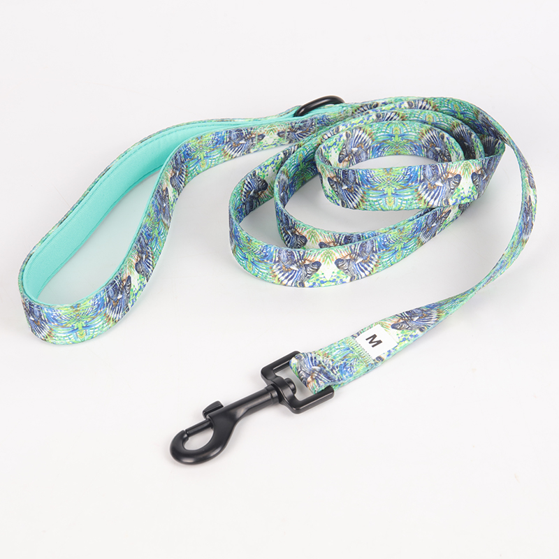 OKEYPETS Laisse pour chien en polyester respirant, durable, multicolore et à prix compétitif, personnalisable 18