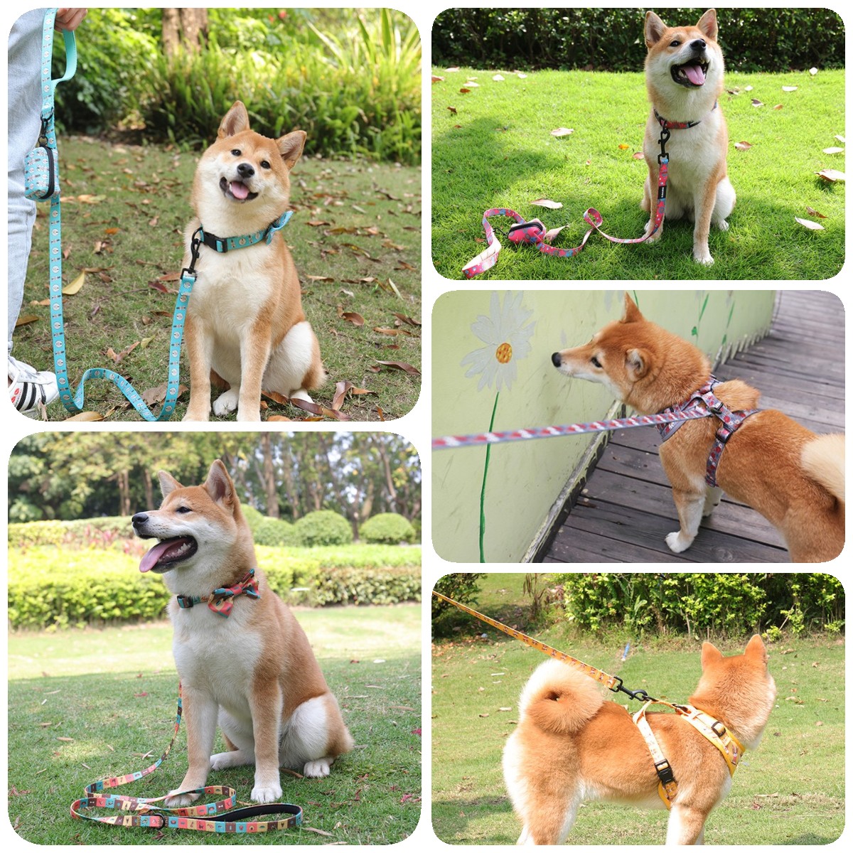 OKEYPETS Laisse pour chien en néoprène, longueur ajustable et personnalisable, sécurité et respect de l'environnement. 23