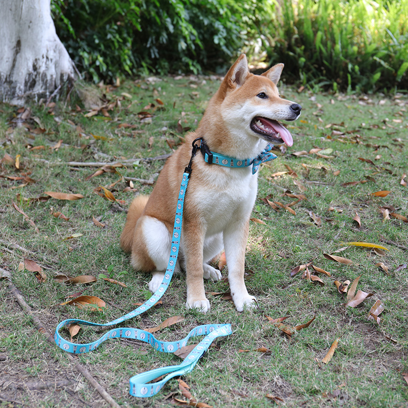 OKEYPETS - Laisse pour chien en polyester écologique avec mousqueton, design élégant et tendance, vendue en gros. 8