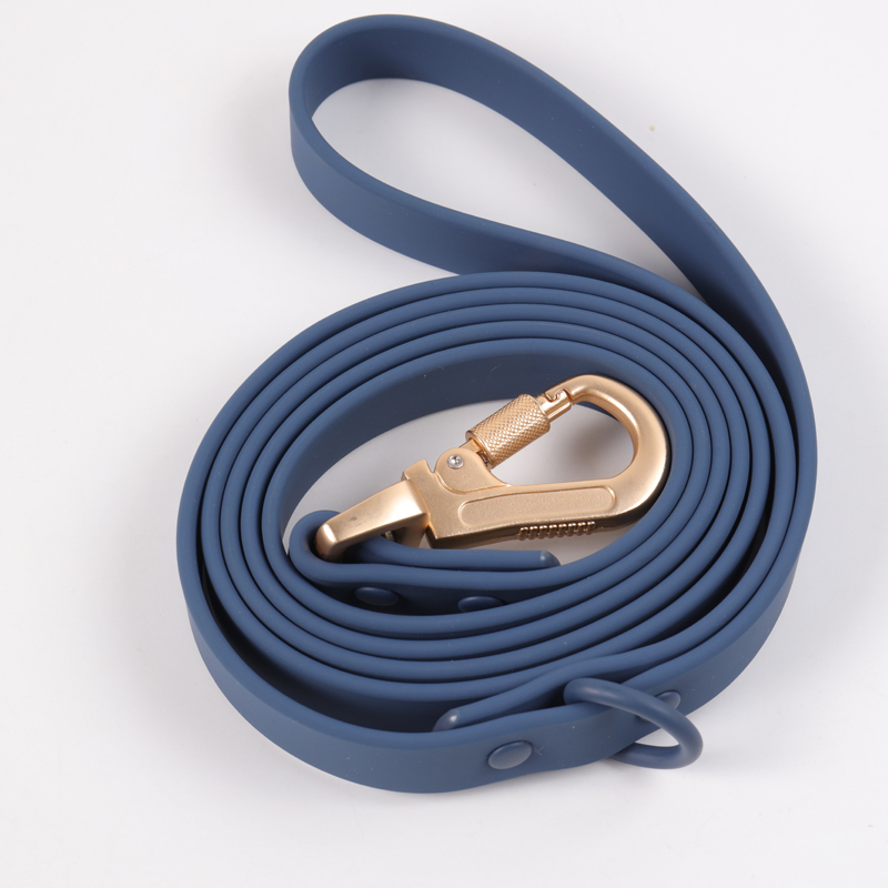 Ensemble collier et laisse en PVC pour chien, collier et laisse personnalisés en silicone tendance pour chiens de grande, moyenne et petite taille 26