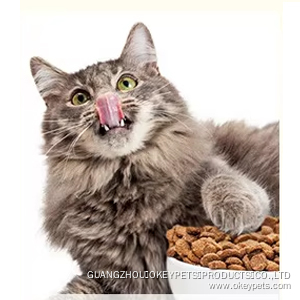 Gamelle de voyage pour chien, portable et pliable, en silicone, pour l'entraînement et l'alimentation lente. Offre spéciale sur les gamelles d'eau et de nourriture pour chien. 11