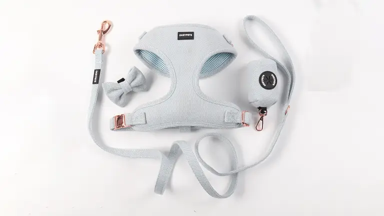 Ensemble de harnais pour chien rembourré en maille personnalisable, vente en gros de harnais en sergé pour l'extérieur 1