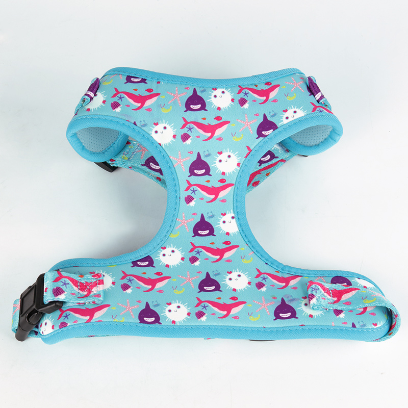 Harnais pour chien OKEYPETS de haute qualité, souple, logo personnalisé, couleur unie, sublimation, ensemble harnais de luxe 9