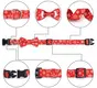 Christmas Dog Collar - Festive Snowflake Design 5